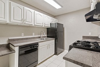 Model Kitchen - Photo Gallery 5