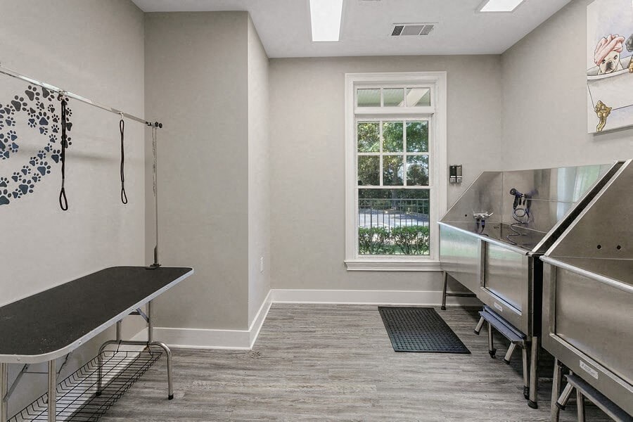 Dog Cleaning facility