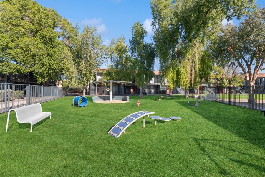 community dog park at Verona Park, Mesa