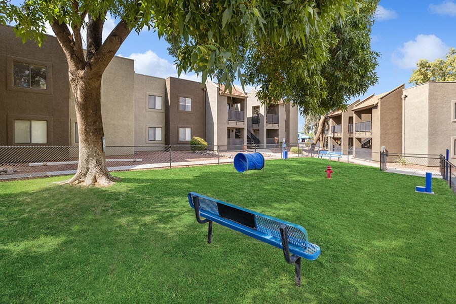 Community Dog Park with Agility Equipment at Saddle Ridge Apartments in Tucson, AZ.