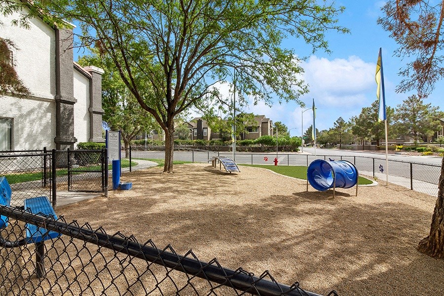 Community Dog Park with Agility Equipment at Meadow Ridge Apartments in Las Vegas, NV.