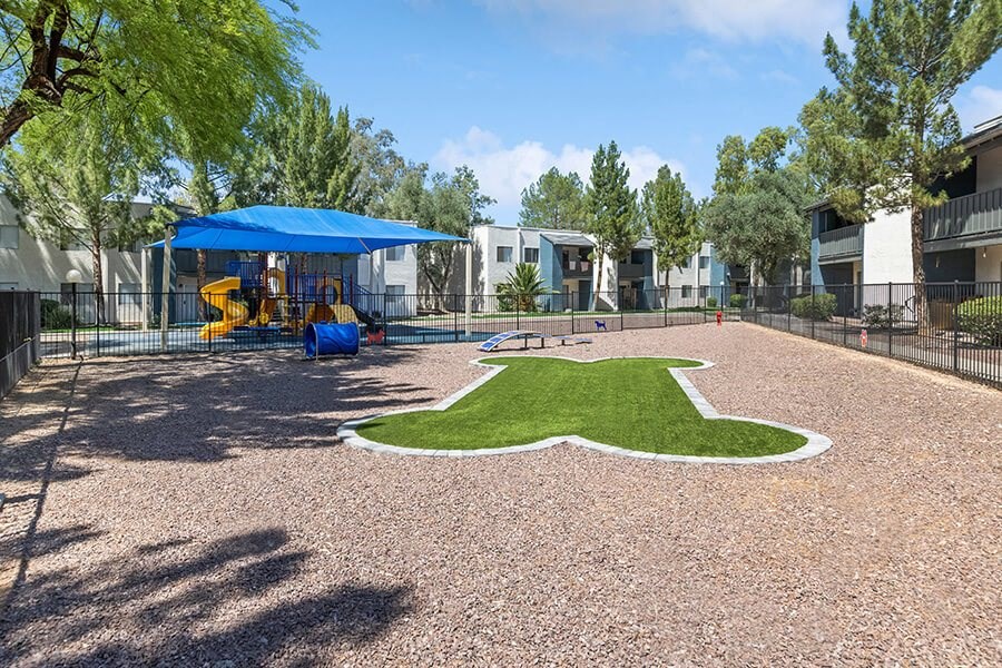 Community Dog Park with Agility Equipment at Solano Springs Apartments in Tucson, AZ.