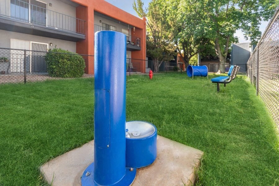 Community Dog Park with Agility Equipment at Indigo Park Apartments in Albuquerque, NM.