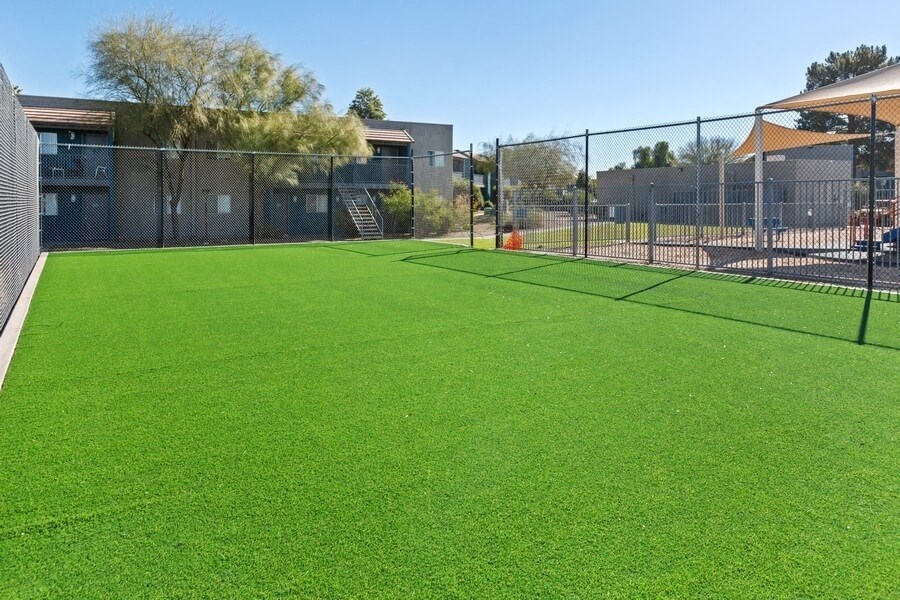 Soccer field