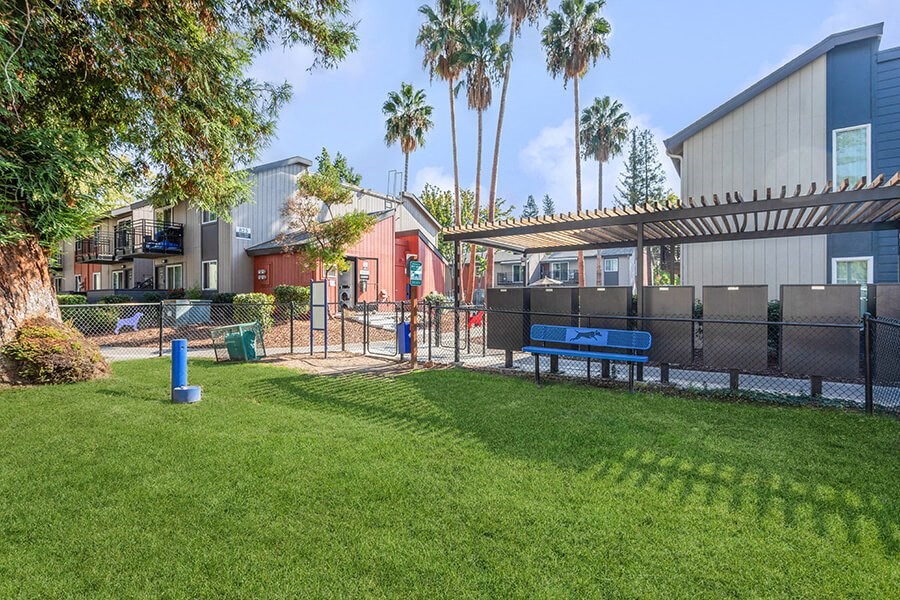 Community Dog Park with Agility Equipment at The Archer Apartments in Sacramento, CA.
