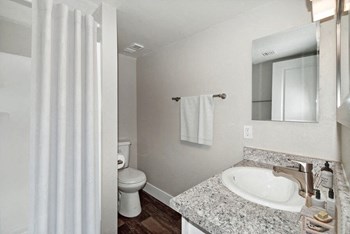 Model primary bathroom - Photo Gallery 6