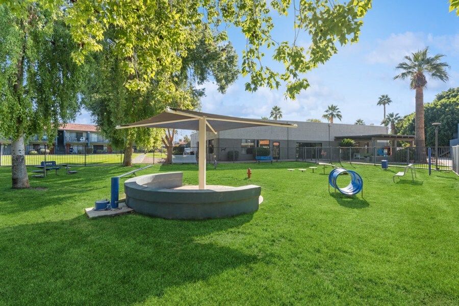 community dog park at Verona Park, Arizona