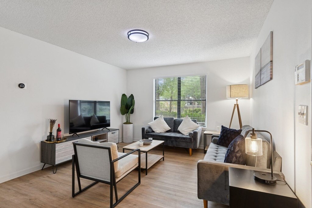 Model living room at Northlake Apartments in Jacksonville, FL