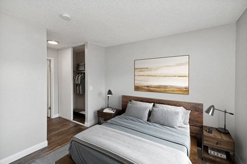 a bedroom with a bed and a closet