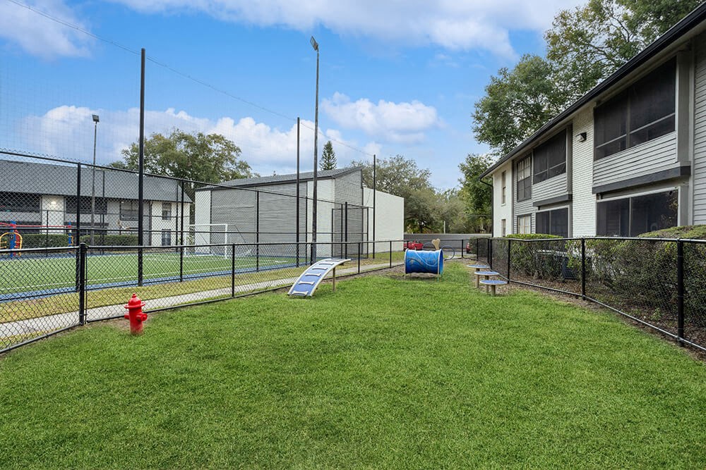 Community Dog Park with Agility Equipment at Carrollwood Station Apartments in Tampa, FL.