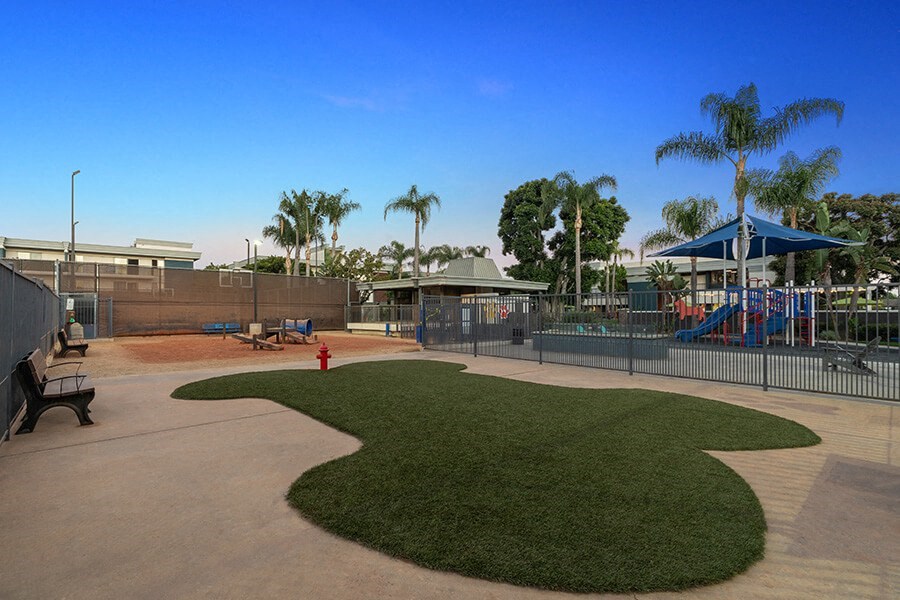 Community Dog Park with Agility Equipment at Madison Park Apartments located in Anaheim, CA.