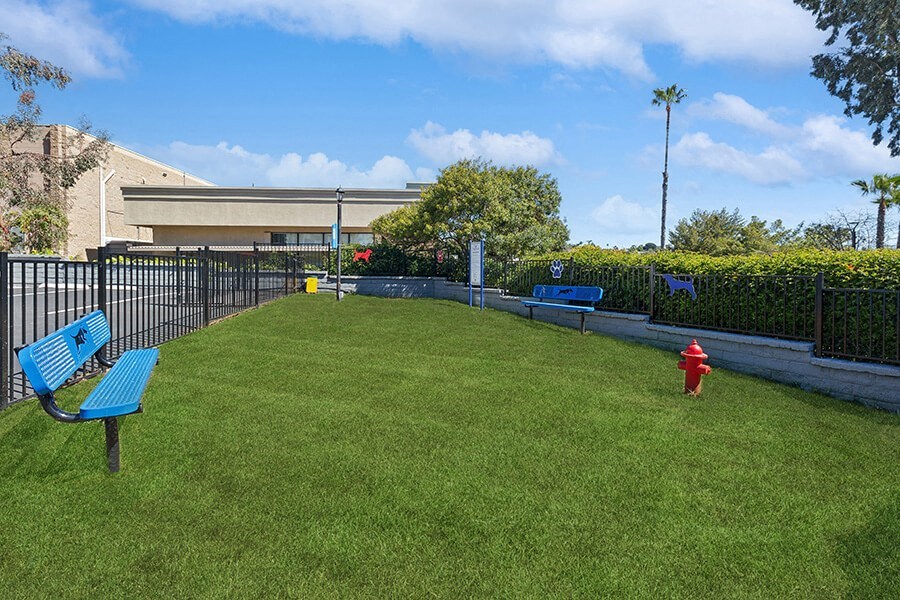 Community Dog Park with Agility Equipment at Colonnade at Fletcher Hills Apartments in El Cajon, CA.