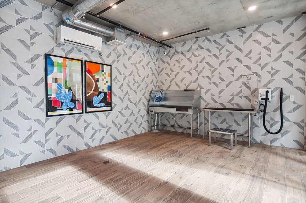 Pet grooming area with wash basin and equipment to keep your pet looking it's best at Post District Residences in Downtown Salt Lake City, Utah