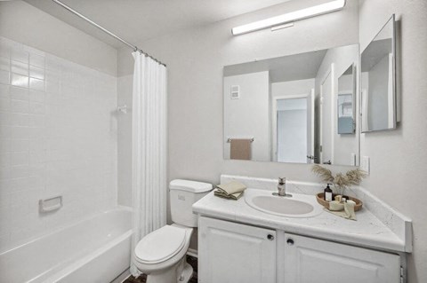 Model primary bathroom