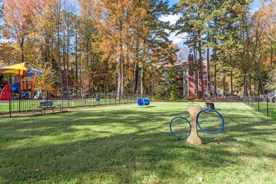 Dog park