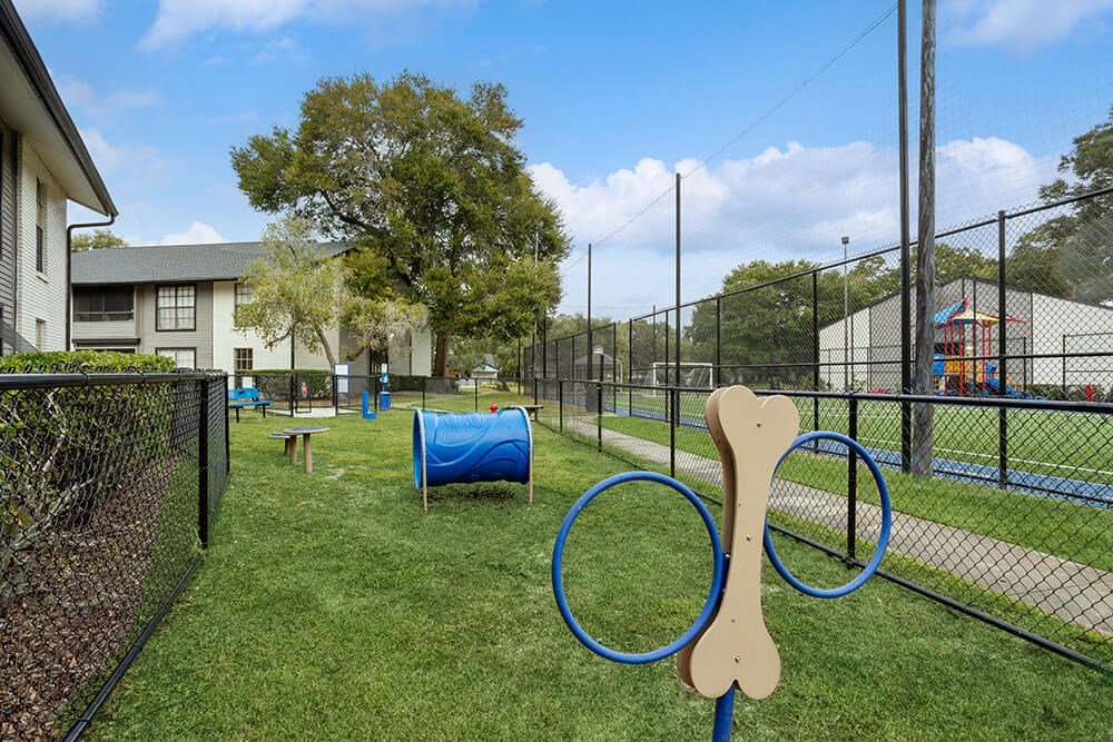 Community Dog Park with Agility Equipment at Carrollwood Station Apartments in Tampa, FL.