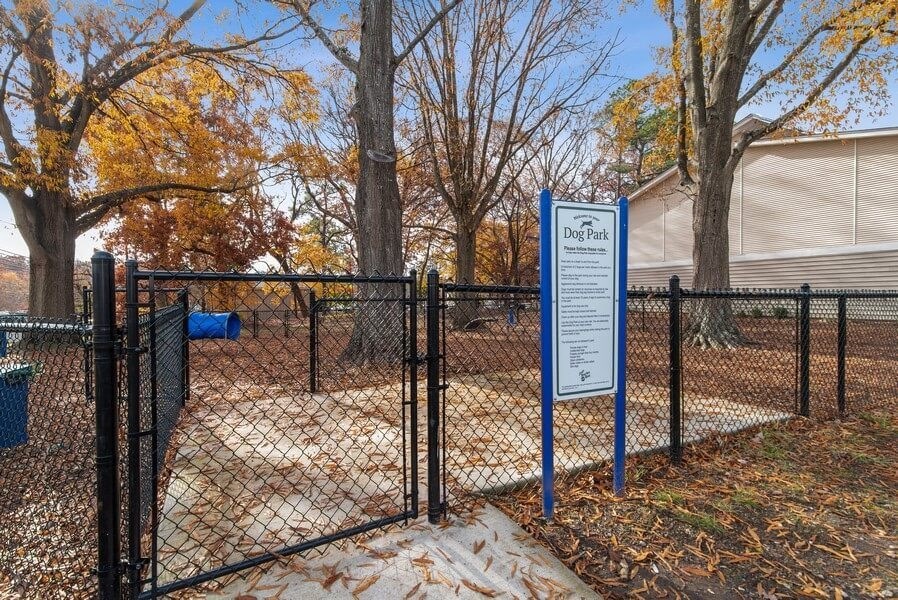 Fenced dog park