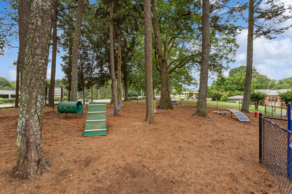 take a stroll through the dog park