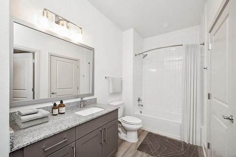 Model Bathroom with Gray Cabinets, Wood-Style Flooring and Shower/Tub at Alta 3Eighty Apartments located in Aubrey, TX.