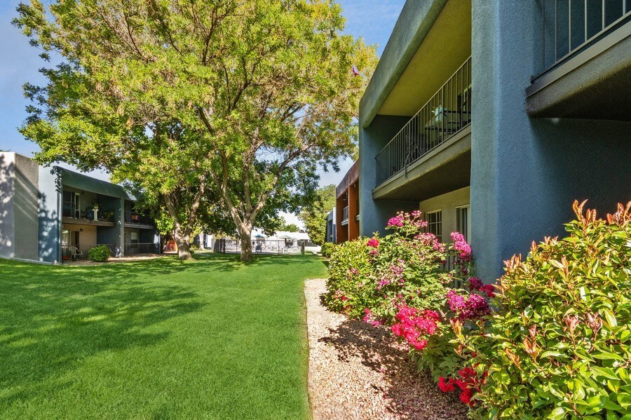 Exterior Community Building and Landscape at Indigo Park Apartments in Albuquerque, NM.