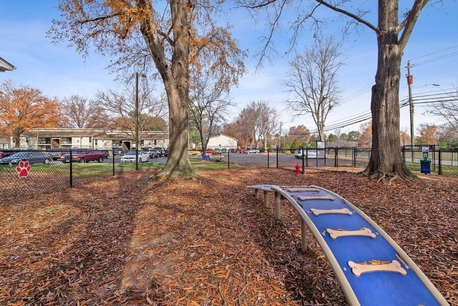 Agility equipment in dog park