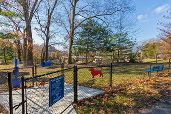 Pet Park