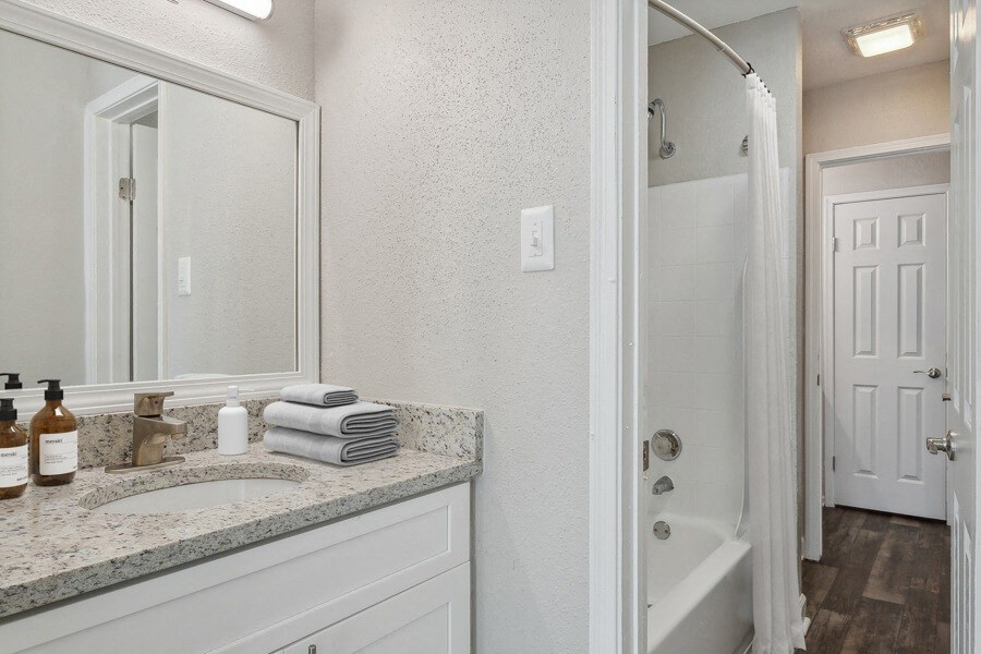 a bathroom with a sink and a mirror and a shower