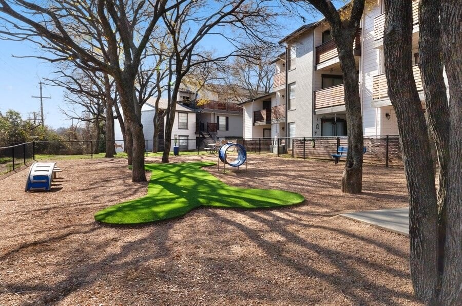 Dog park with agility equipment