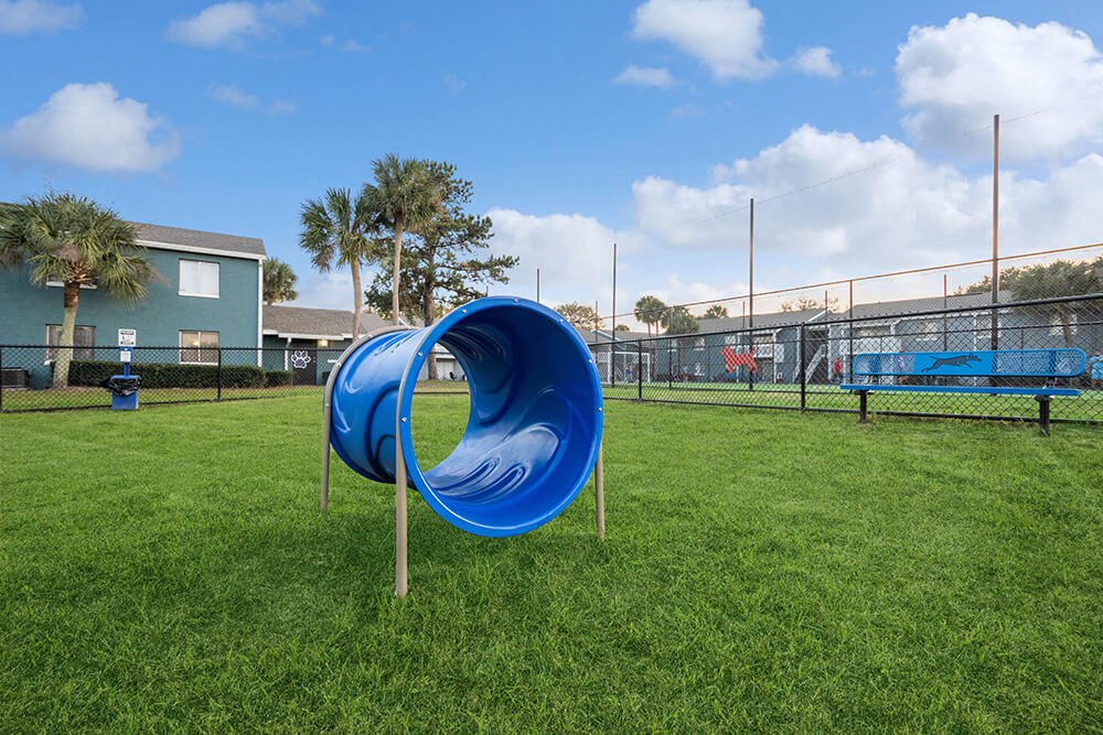 Community Dog Park with Agility Equipment at Park at 7200 Apartments in Jacksonville, FL.