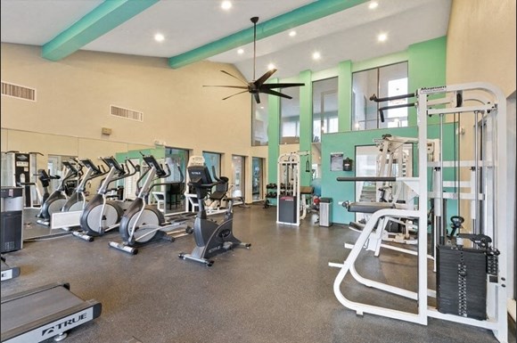 Carrollwood Station Apartments, 8781 White Swan Drive, Tampa, FL - RENTCafé