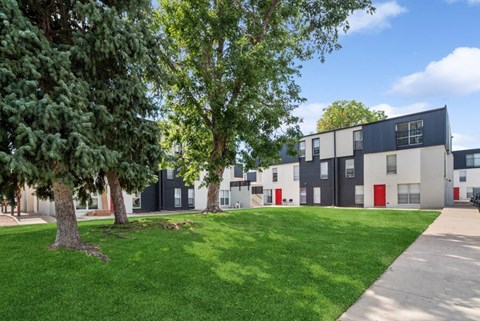 a grassy area with trees and apartment buildings in the background