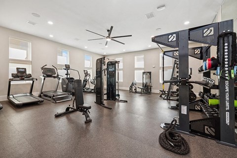 Community Fitness Center with Equipment at Alta 3Eighty Apartments located in Aubrey, TX.