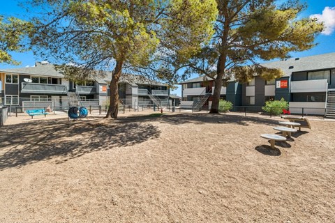 Dog park with agility equipment