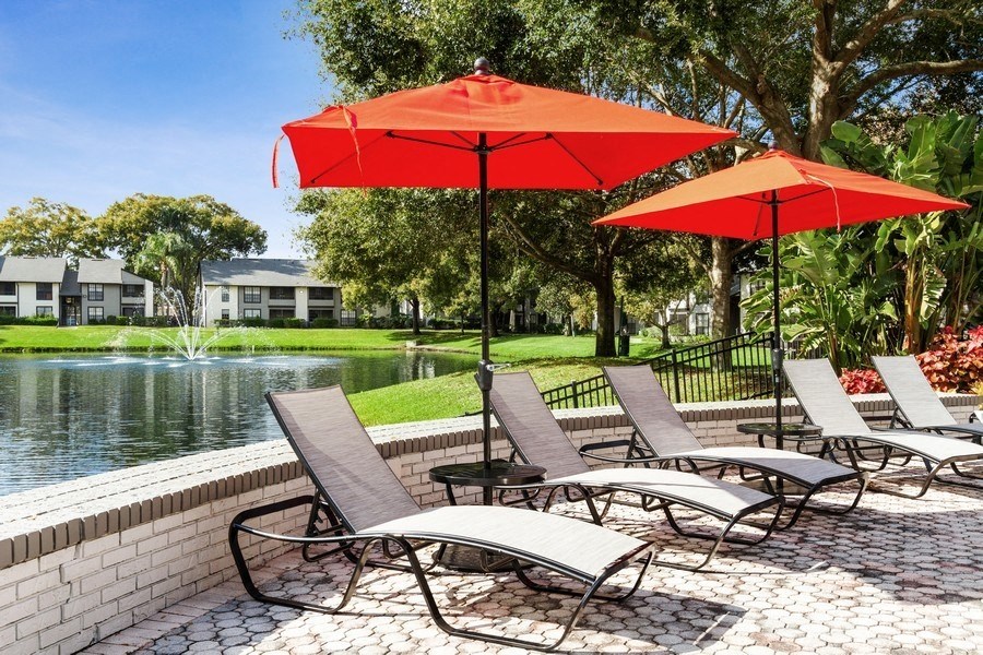 Poolside lounge chairs