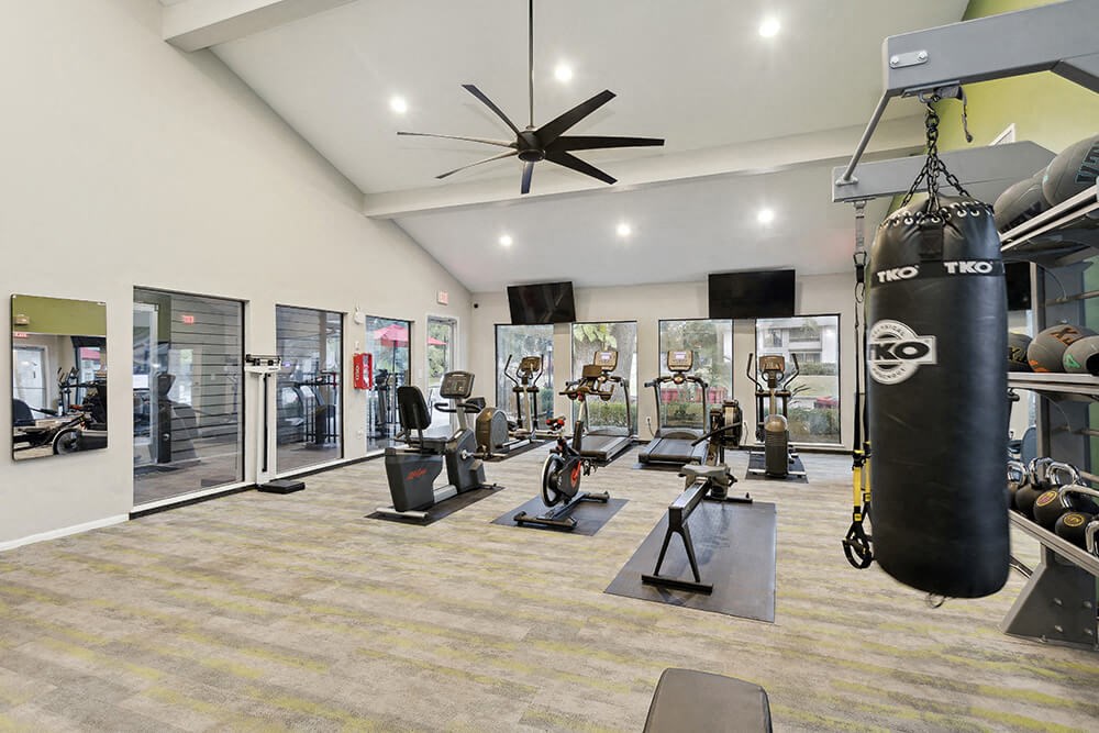 Community Fitness Center with Equipment at Carrollwood Station Apartments in Tampa, FL.