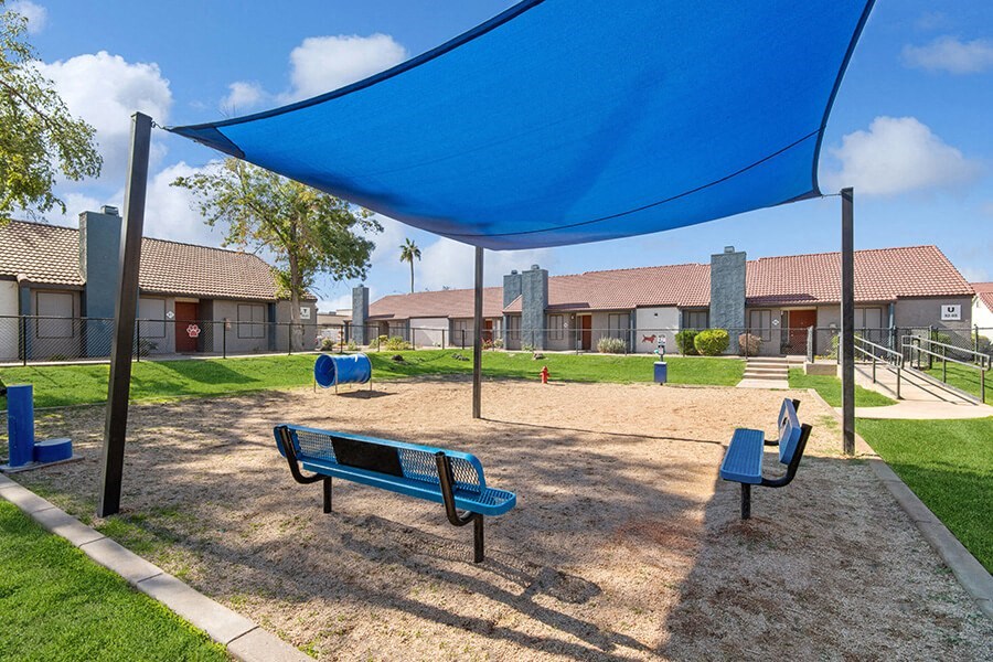 Community Dog Park with Agility Equipment and Blue Canopy at Peaks on 4th Apartments in Avondale, AZ.