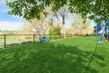 Dog park