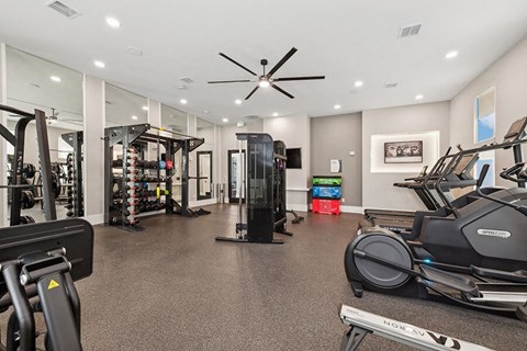 Community Fitness Center with Equipment at Alta 3Eighty Apartments located in Aubrey, TX.