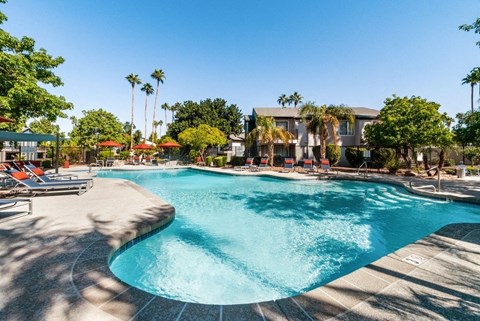 Pool with apartment building and tree in background