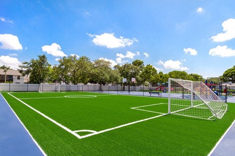 Soccer Field with turf