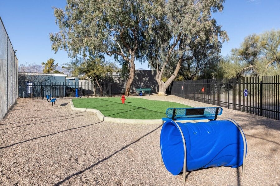 Community Dog Park with grass area and speed/agility equipment at Lakeside Casitas in Tucson, AZ.