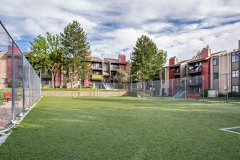 Soccer Field