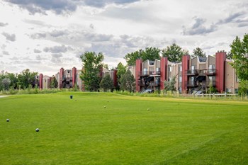 Dog park with agility equipment