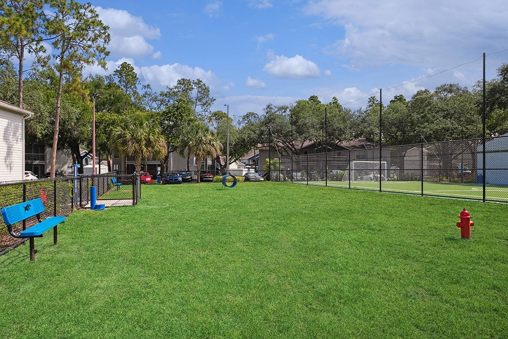 Fenced dog park with agility equipment at Retreat at Crosstown Apartments
