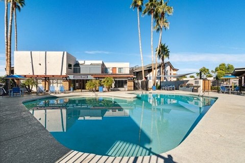 Pet-Friendly Apartments in Mesa, AZ - The District at Fiesta Park - Resort Style Swimming Pool With Sundeck Seating, Palm Trees, And A Courtyard Under Blue Sky.