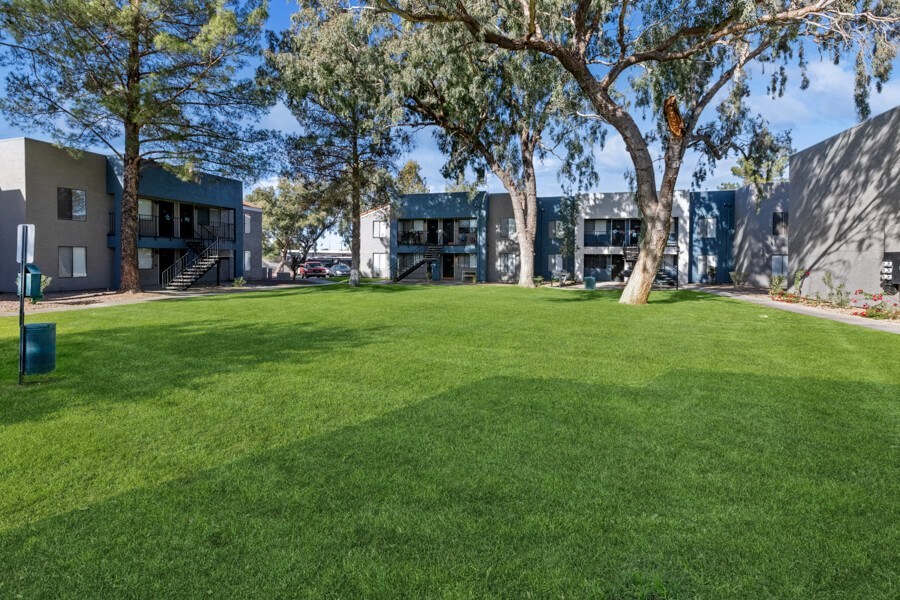Green lawn with the apartments in the background