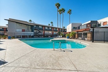Swimming pool and palm trees - Photo Gallery 14