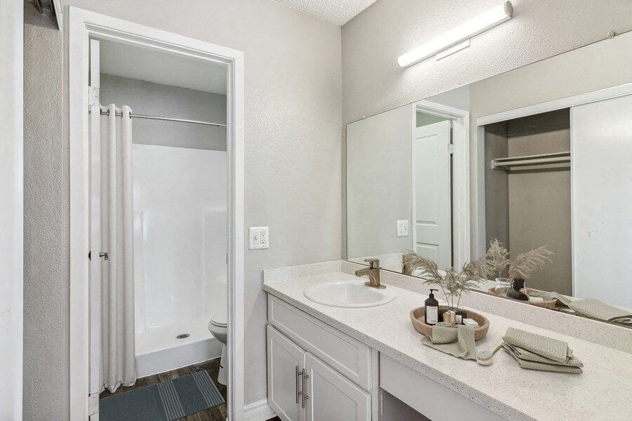 a bathroom with a sink and a shower