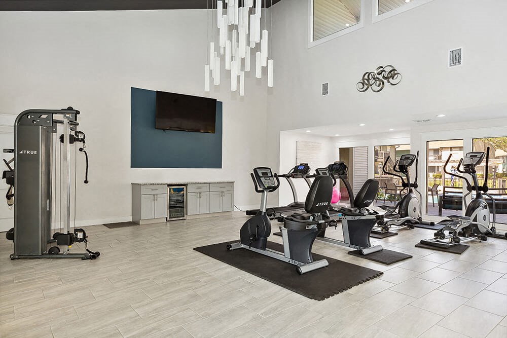 Community Fitness Center with Equipment at Seven Lakes at Carrollwood Apartments in Tampa, FL.