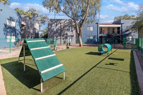 community dog park